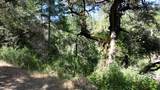 12226 Pine Cone Circle - Photo 3