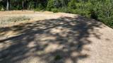 12226 Pine Cone Circle - Photo 4