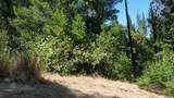 12226 Pine Cone Circle - Photo 5