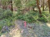 12226 Pine Cone Circle - Photo 9