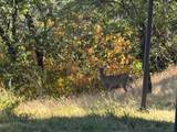 20790 Indian Drive - Photo 13