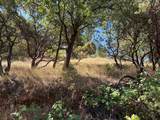 20790 Indian Drive - Photo 2