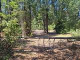 12 Ringtail - Photo 11