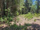 12 Ringtail - Photo 14
