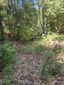 12 Ringtail - Photo 15