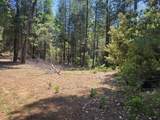 12 Ringtail - Photo 16