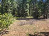 12 Ringtail - Photo 5