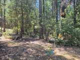 12 Ringtail - Photo 6