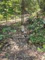 12 Ringtail - Photo 7