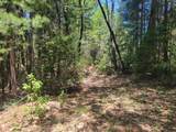 12 Ringtail - Photo 9