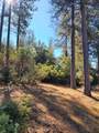 10550 Tabeaud Road - Photo 4