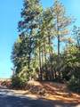 10550 Tabeaud Road - Photo 5