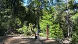12258 Pine Cone Circle - Photo 1