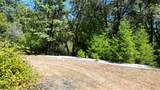 12258 Pine Cone Circle - Photo 15