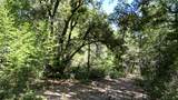 12258 Pine Cone Circle - Photo 16