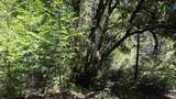 12258 Pine Cone Circle - Photo 17