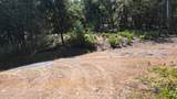 12258 Pine Cone Circle - Photo 19