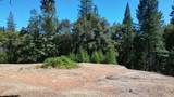 12258 Pine Cone Circle - Photo 2