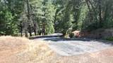 12258 Pine Cone Circle - Photo 20