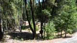 12258 Pine Cone Circle - Photo 23