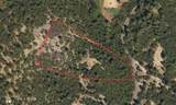 12258 Pine Cone Circle - Photo 3