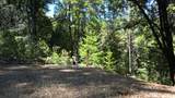 12258 Pine Cone Circle - Photo 4