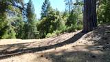 12258 Pine Cone Circle - Photo 5