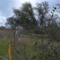 0 Willow Glen Road - Photo 8