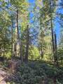 1234 Indian Diggins Rd - Photo 4