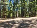 6296 Merry Way - Photo 12