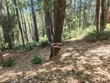 6296 Merry Way - Photo 7
