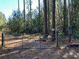 35 Bamford - Photo 9