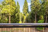 14289 Banner Mtn Lookout Road - Photo 46