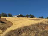 9185 Banderilla Drive - Photo 4