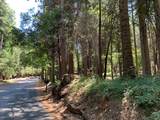 12043 Pasquale Road - Photo 21