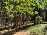 12043 Pasquale Road - Photo 25