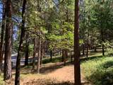 12043 Pasquale Road - Photo 26