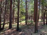12043 Pasquale Road - Photo 3
