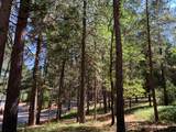 12043 Pasquale Road - Photo 5