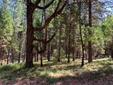 12043 Pasquale Road - Photo 6