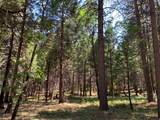 12043 Pasquale Road - Photo 9