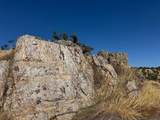 9786 Mirasol Way - Photo 8