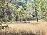 48 Rices Texas Hill Road - Photo 4