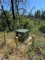15 Squirrel - Photo 3