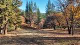 5271 Cosumnes Mine Road - Photo 31