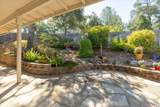 431 Live Oak Dr Drive - Photo 24