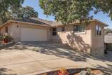 431 Live Oak Dr Drive - Photo 28