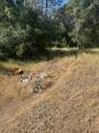 17232 Golden Arrow Trail - Photo 2