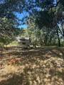17232 Golden Arrow Trail - Photo 4