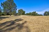 13555 Oakstream Road - Photo 11